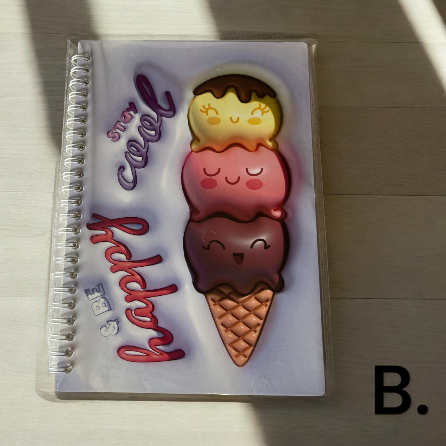 Ice Cream Notebooks